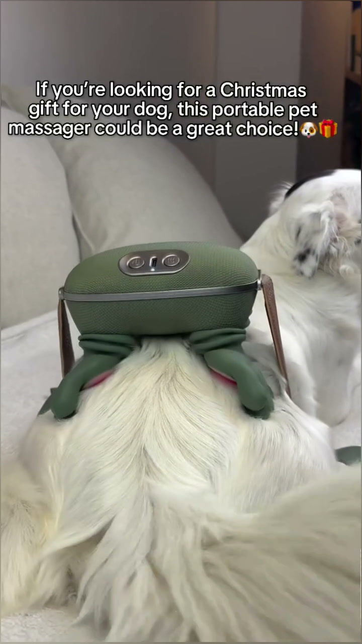 Palmease Mini Portable Massager